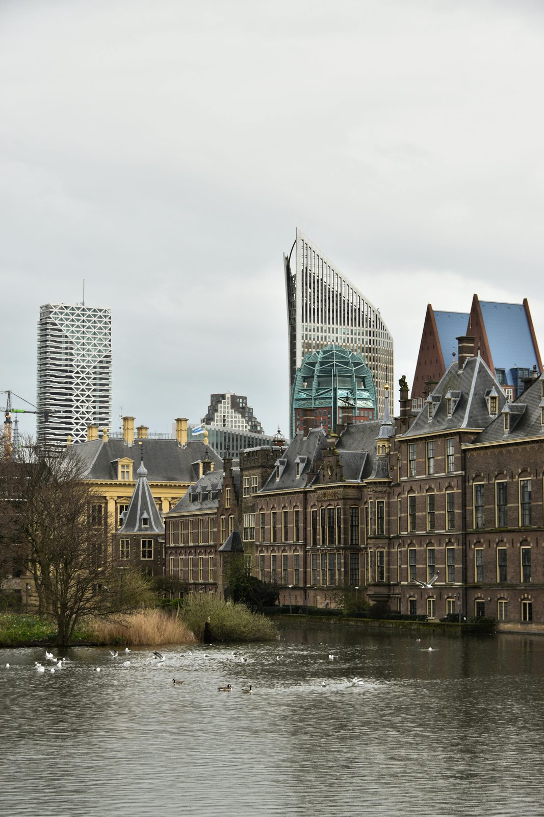 Nederlandse stad 7